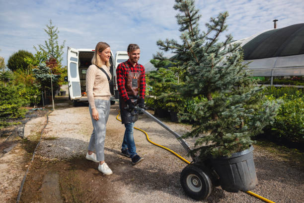 Lawn Irrigation Installation and Maintenance in Chittenango, NY